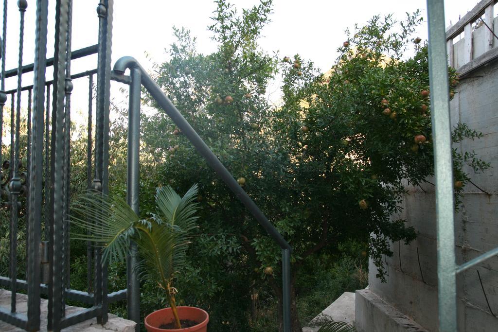 Apartment Cucuk